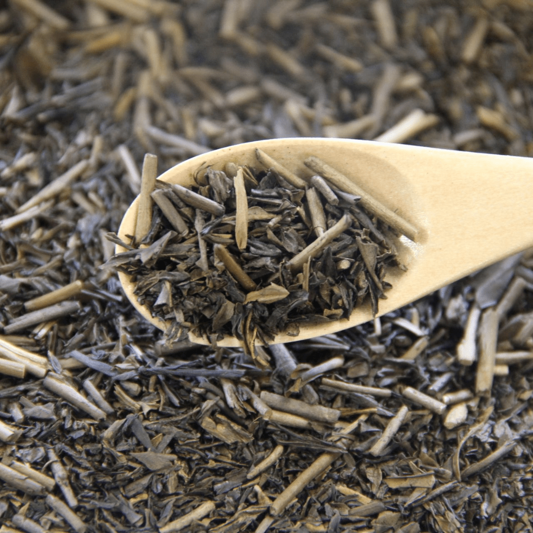 Mt. Fuji Foothills Genmai Hojicha 10 Tea Bags - TFD (Tokyo Fresh Direct)
