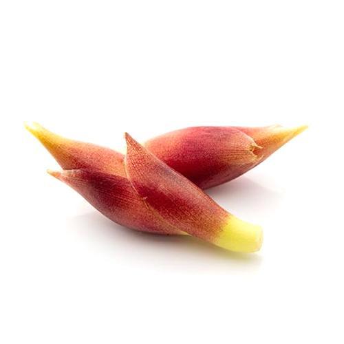 Myoga Japanese Ginger Flower - Tokyo Fresh Direct