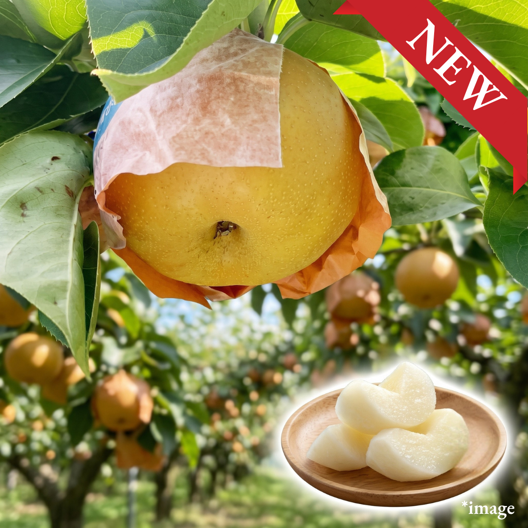 "Nansui (2L-size/High Grade)", Japan’s Top-Class Sweet Pear, Approx.600g+(2pcs) | Delivery: 18th-19th Sep - TFD (Tokyo Fresh Direct)