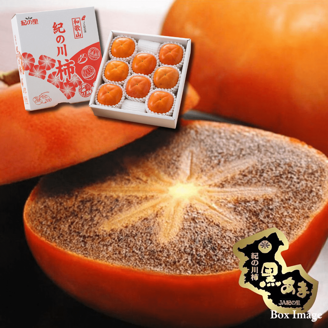 Premium Kinokawa Persimmon "Kuroama (Brand Fruits)", Premium sweet persimmon from Japan’s finest growing region, (size 4L 2pcs / approx.600g) | Delivery: 23th~24th Oct - TFD (Tokyo Fresh Direct)