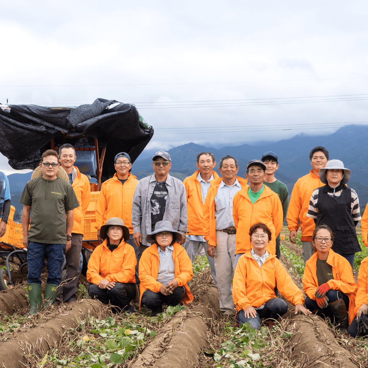 Premium Rich Texture Roasted Sweet Potat - Tokyo Fresh Direct