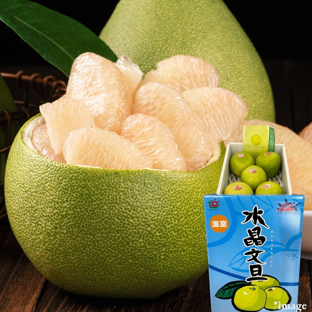 Queen of Citrus "Suishoubuntan (High Grade)", Citrus maxima from Kochi, Gift Box(5 - 6pcs/approx.2kg) | Delivery: 21th - 22th Nov - Tokyo Fresh Direct