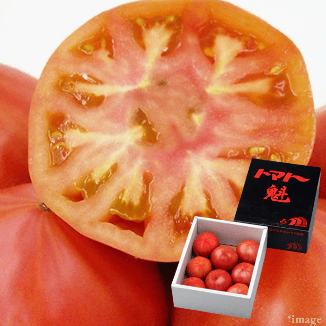 "Sakigake First Tomato (Fruits Tomato/Brix 8°+), Fresh - start flavor—light, crisp, and “just - harvested” bright., Approx.1kg Box | Delivery: 6th - 7th Mar - TFD (Tokyo Fresh Direct)