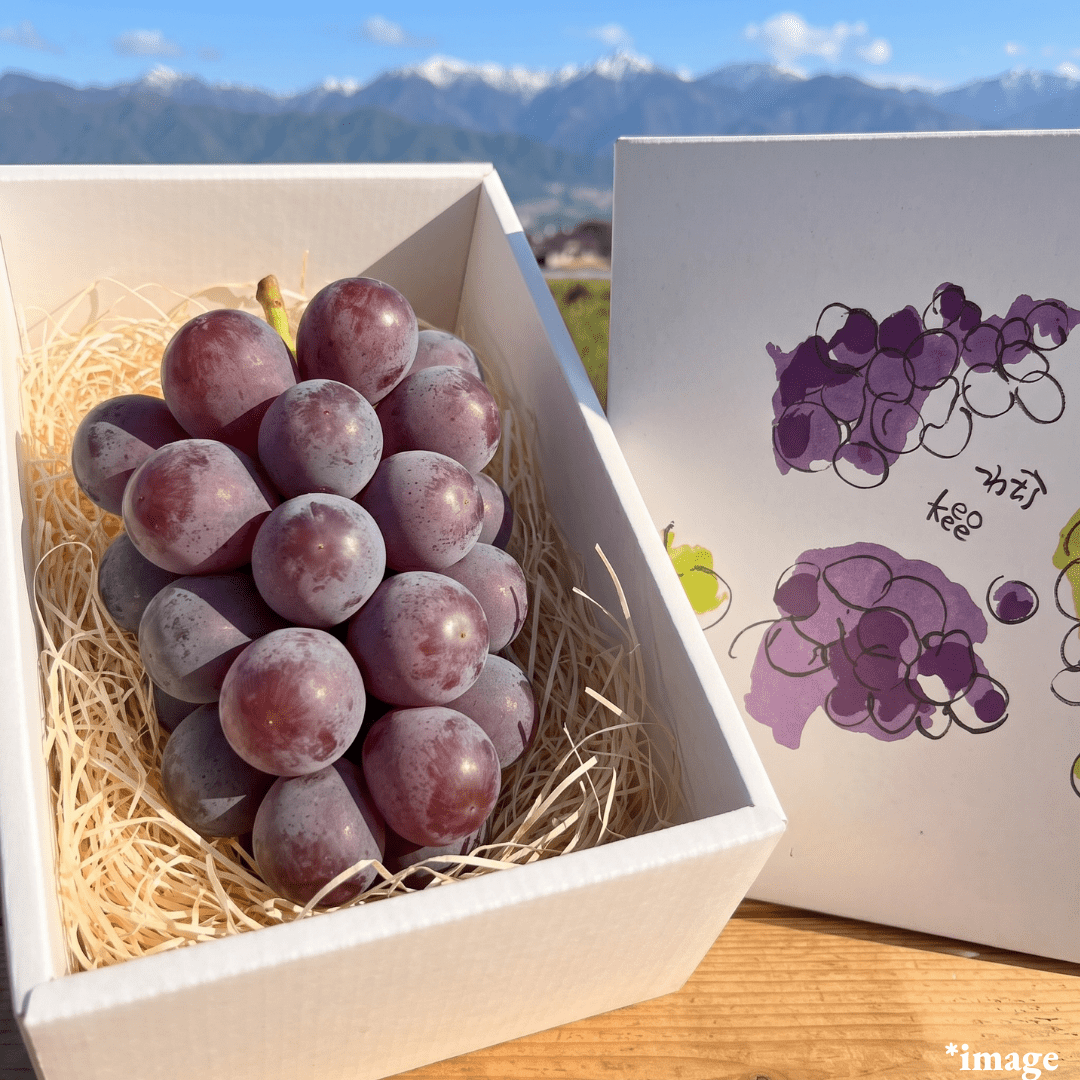 "Seedless Kyoho (Giftbox/4L-size/High Grade)", The king of grapes, Approx.600g | Delivery: 14th~22th Aug - TFD (Tokyo Fresh Direct)