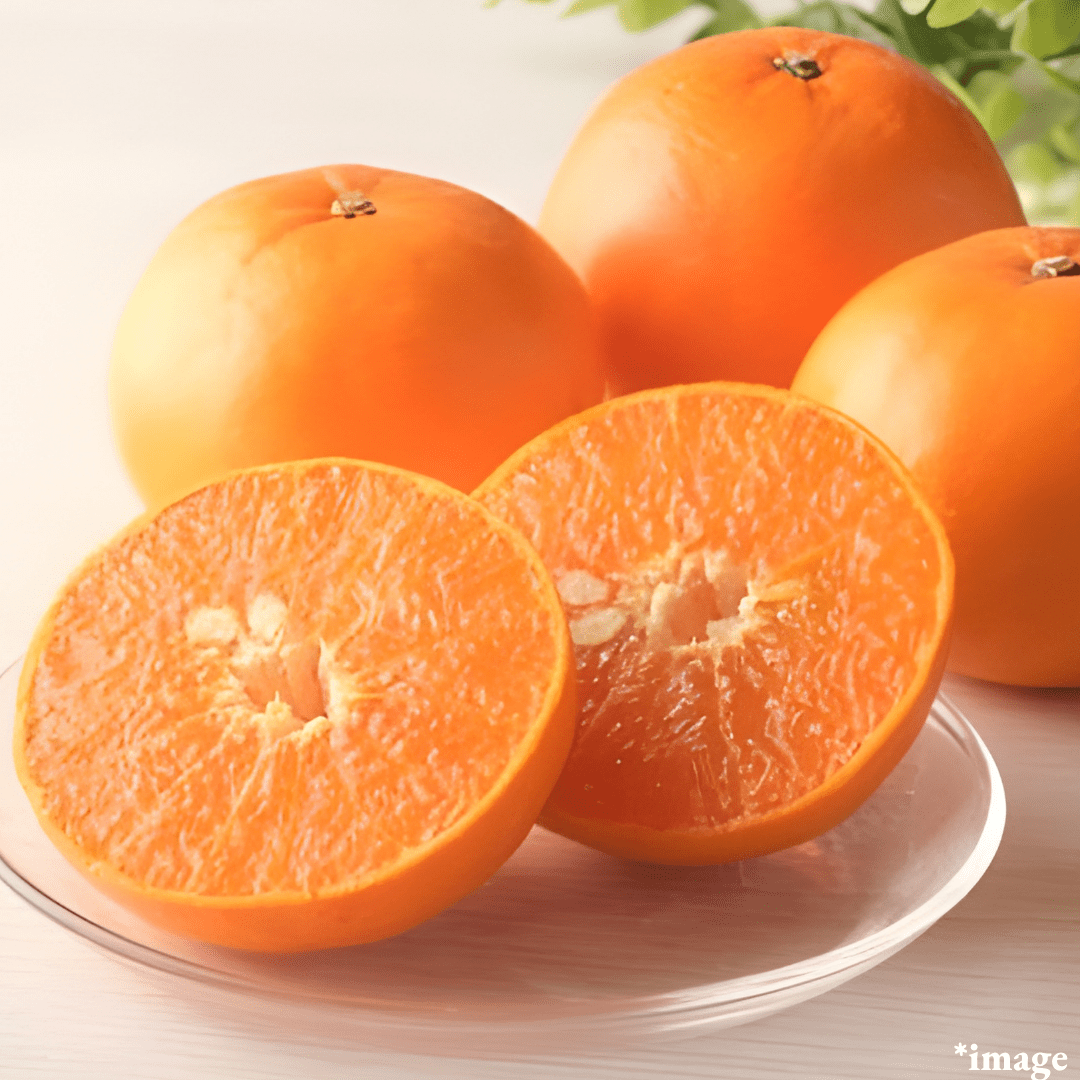 ”Setoka (High Grade)”, Otoro(fatty tuna) of oranges, known for its rich sweetness from Ehime | Delivery: 27th - 28th Mar - TFD (Tokyo Fresh Direct)