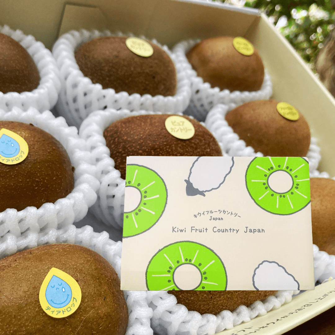 Shizuoka Kiwi Tasting Selection Box Tear Drop / Apple Kiwi / Kōryoku or Cracky (8 - 9pcs/700g) - Tokyo Fresh Direct