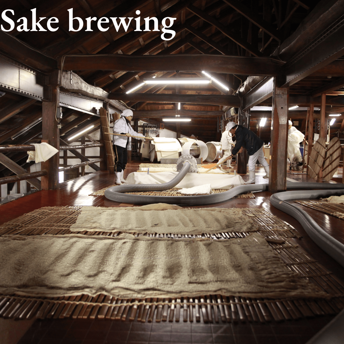 TAMA JIMAN Junmai Daiginjo 720ml 16% ABV - Tokyo Fresh Direct