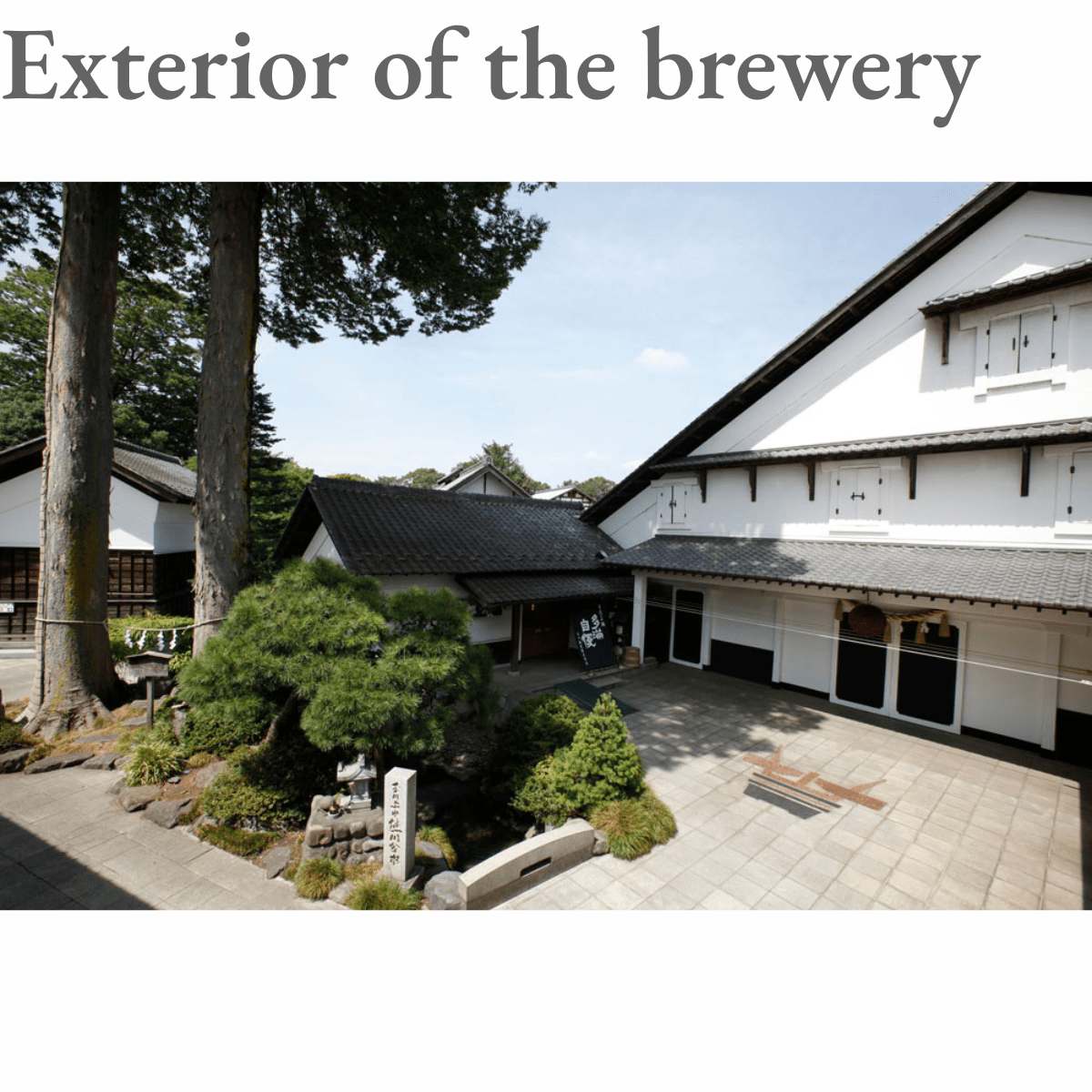 TAMA JIMAN Junmai Daiginjo 720ml 16% ABV - Tokyo Fresh Direct