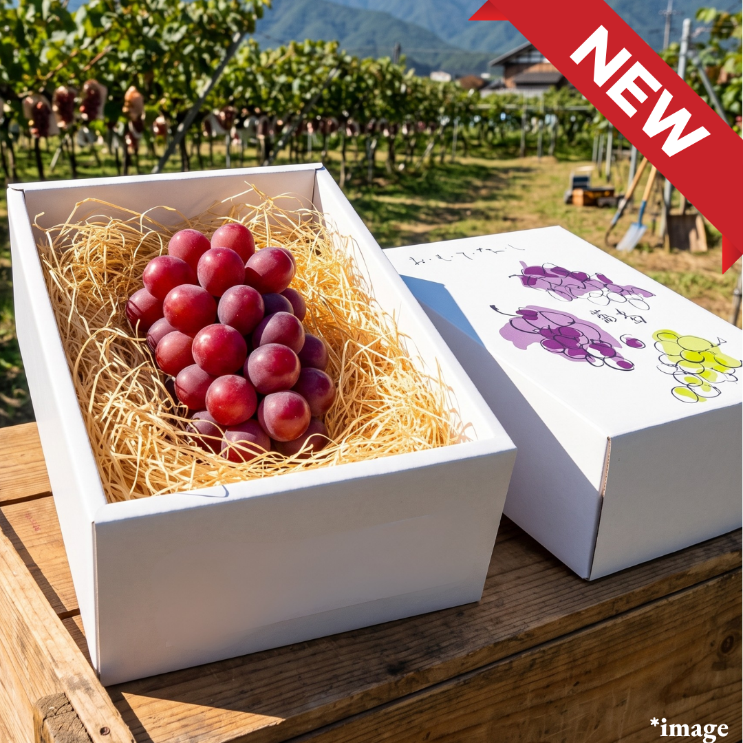 The Crimson King "Queen Rouge (Giftbox/3L-size/High Grade)", Early-Season, Nagano’s Premier Grape Brand, Approx.500g | Delivery: 31th Jul~1st Aug - TFD (Tokyo Fresh Direct)