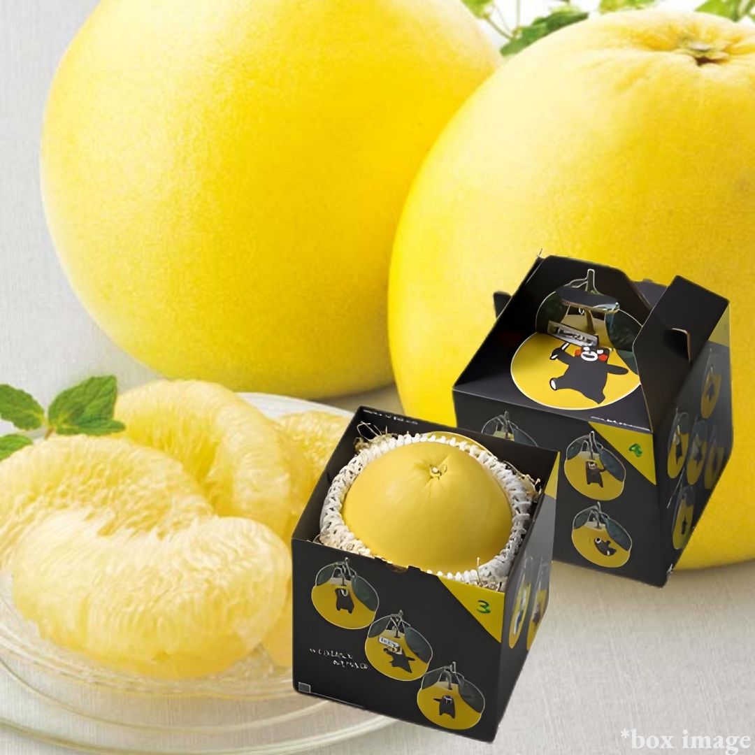The world's largest citrus from Kumamoto "Banpeiyu (Gift Box)" | Delivery: 12th - 13th Dec - Tokyo Fresh Direct