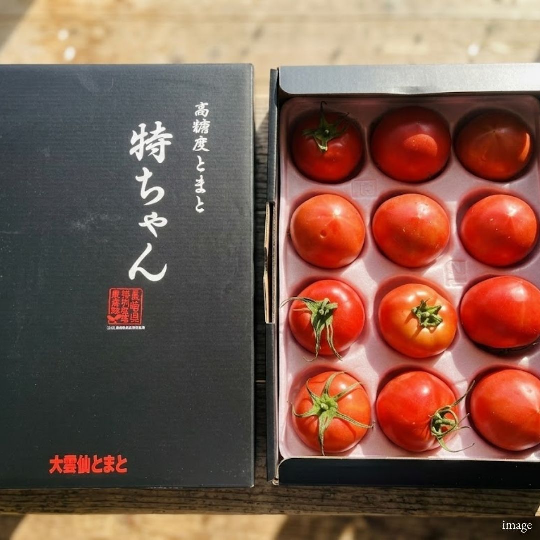 Tokuchan Premium Sweet Tomato – Nagasaki Fruit Tomato 1kg | Brix 10°+ Ultra - Sweet & Rich Flavor - TFD (Tokyo Fresh Direct)