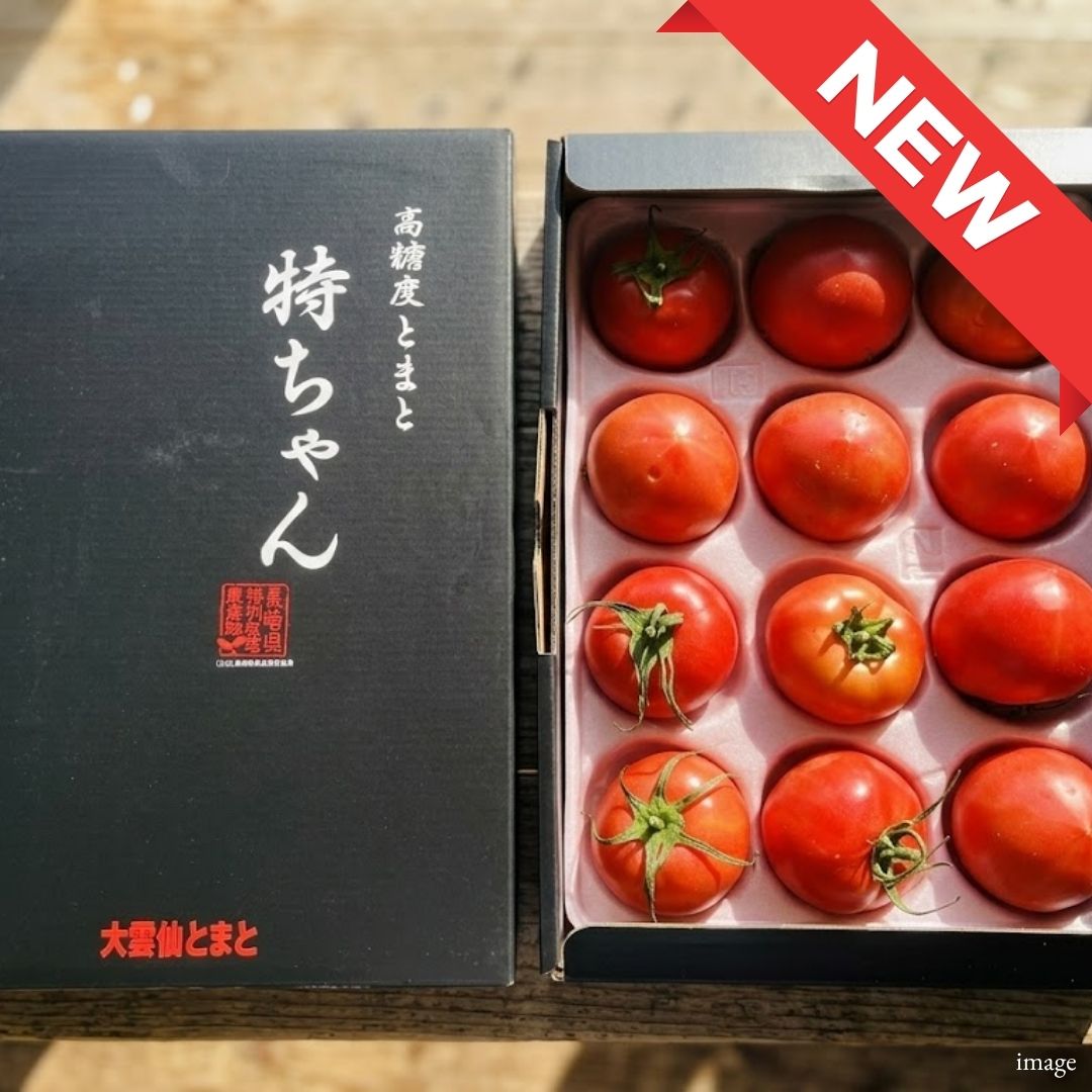 Tokuchan Premium Sweet Tomato – Nagasaki Fruit Tomato 1kg | Brix 10°+ Ultra - Sweet & Rich Flavor - TFD (Tokyo Fresh Direct)