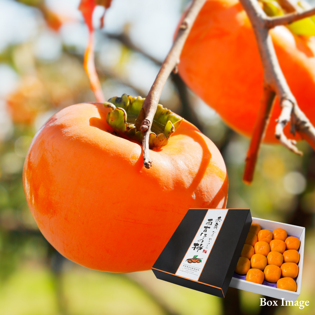 "Tonewase (Giftbox/2L-size/High Grade)", Nara Seedless Persimmons, from Japan’s Renowned Region | Delivery: 16th~17th Oct - TFD (Tokyo Fresh Direct)