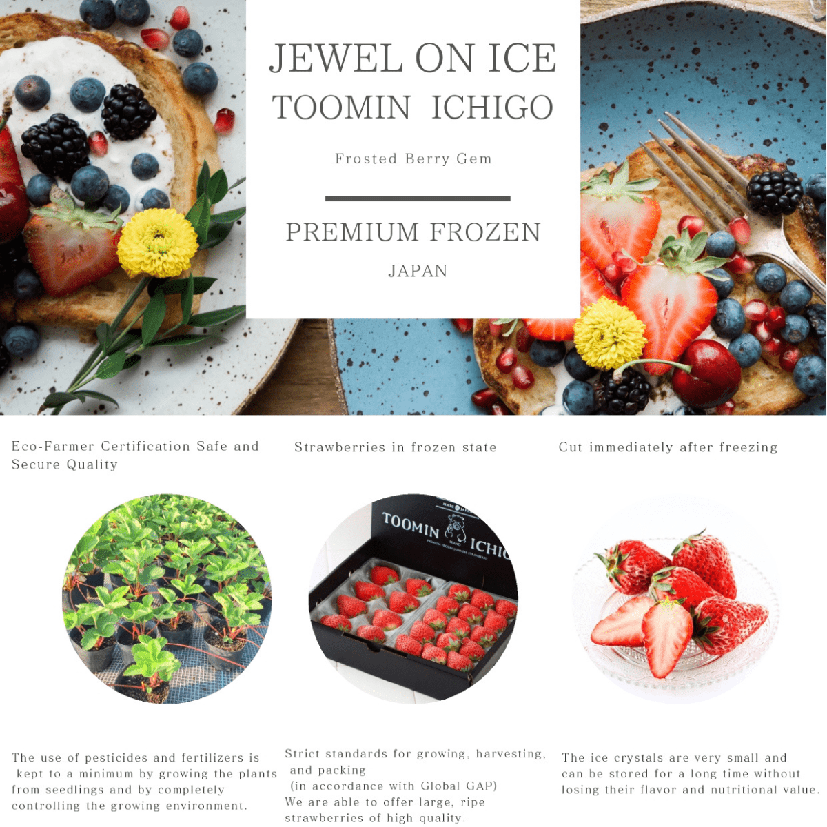 TOOMIN ICHIGO Premium Frozen JP Strawberry JFC - Tokyo Fresh Direct