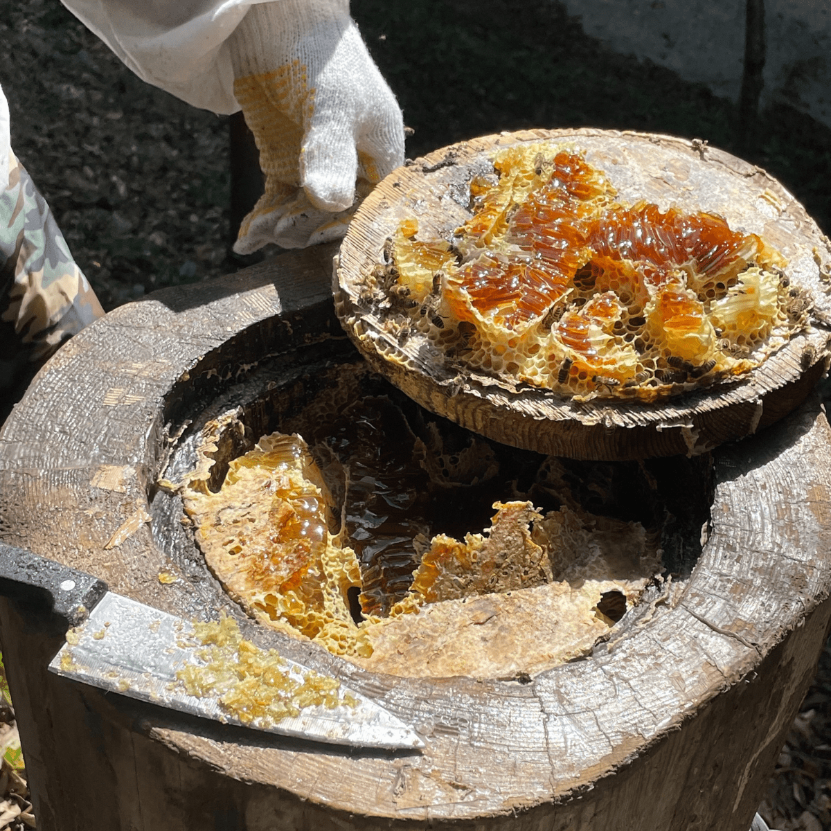 Tsushima Grand Cru Terroir Honey Reserve Collection - Tokyo Fresh Direct