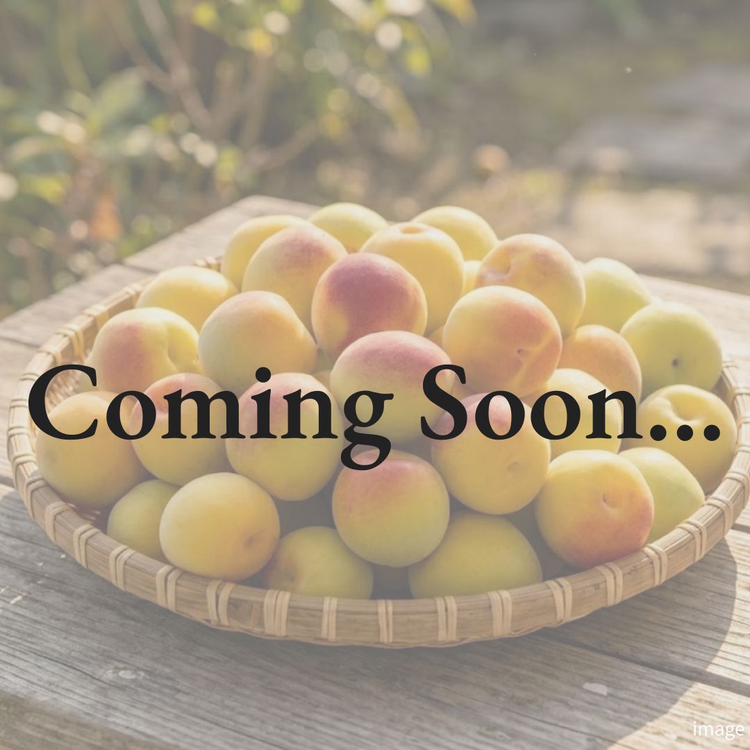 Wakayama Premium Ripe Nanko Ume | Rich Aroma & Ultra - Soft Flesh | Ideal for Jam, Syrup & Desserts | Seasonal Luxury Fruit | Approx. 1kg | Delivery: 3rd July–13th July - TFD (Tokyo Fresh Direct)