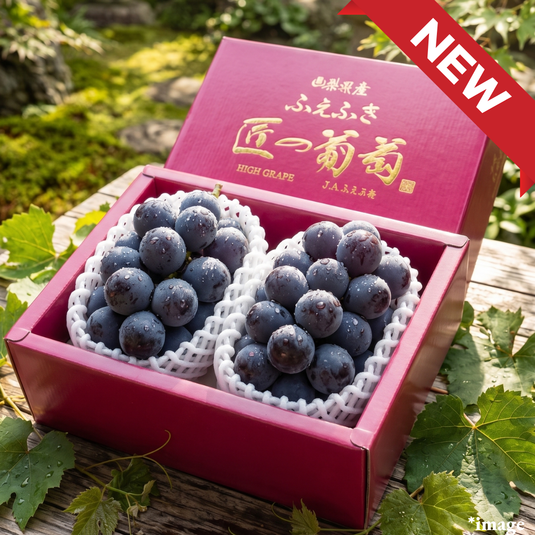 Yamanashi Takumi Series"Kyoho (High Grade/Giftbox)", The king of grapess, Approx.800g(2bunch) | Delivery: 26th-27th Jun - TFD (Tokyo Fresh Direct)