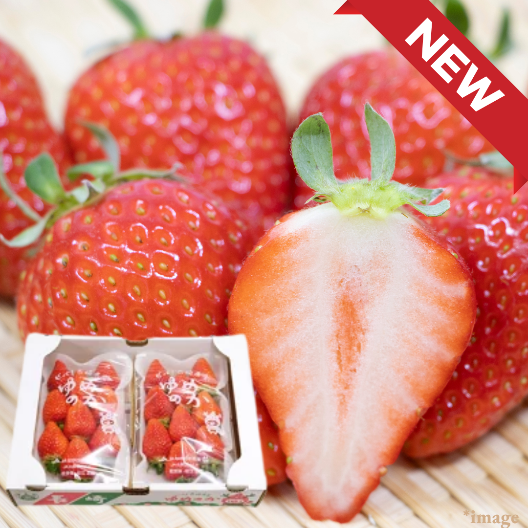 "Yumenoka (High Grade)", A High - Brix strawberry with a gentle, well - balanced acidity, Approx.500g(2packs) | Delivery: 20th - 21st Feb - TFD (Tokyo Fresh Direct)