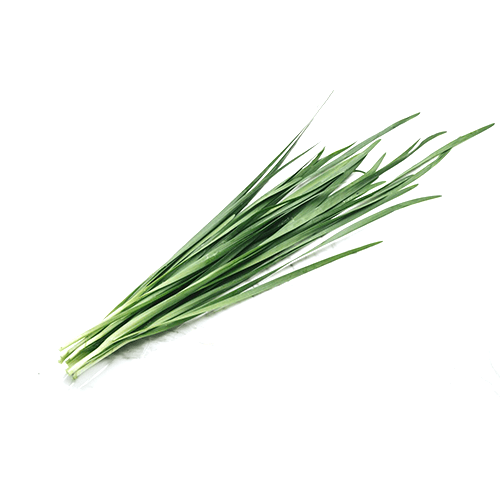 Chinese chive (Nira)