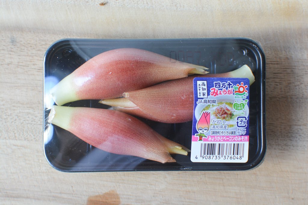 Japanese Ginger Flower (Myoga)