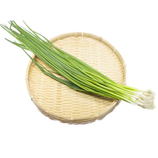 Aji-ichi Negi (green onion) - Tokyo Fresh Direct