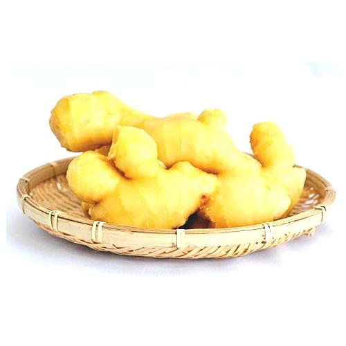 Ginger