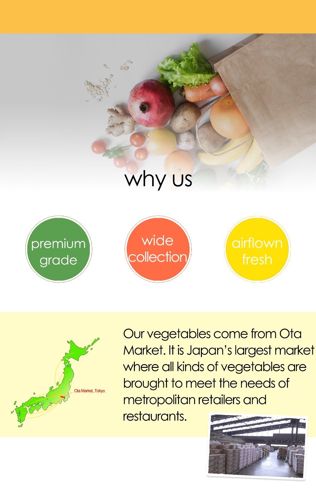Aomori Washed-Burdock, Fragrant, Crisp & Grown in Japan’s No. 1 Burdock Region, Approx.200g(1pc) | Delivery: 30th~31th Oct