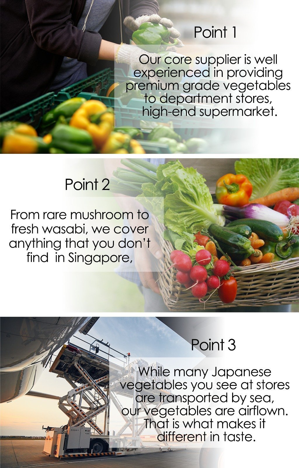 Aomori Washed-Burdock, Fragrant, Crisp & Grown in Japan’s No. 1 Burdock Region, Approx.200g(1pc) | Delivery: 30th~31th Oct