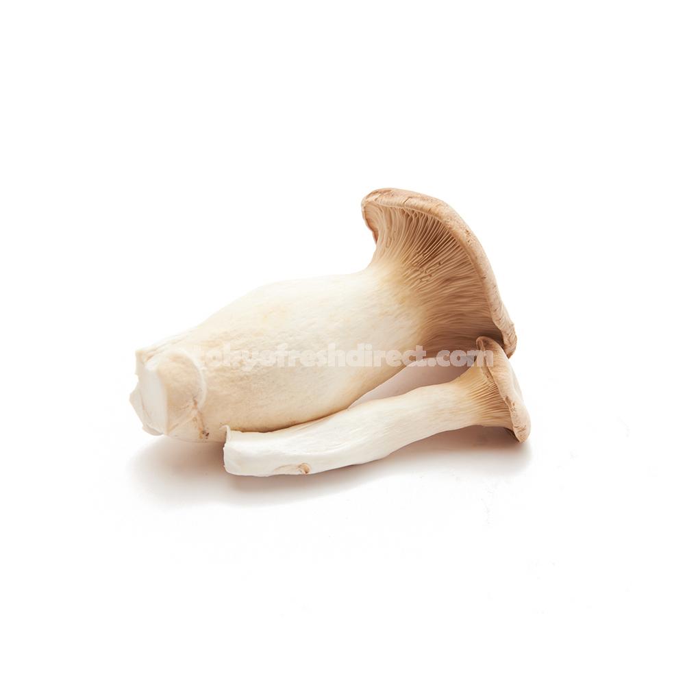 Eryngii mushroom - Tokyo Fresh Direct