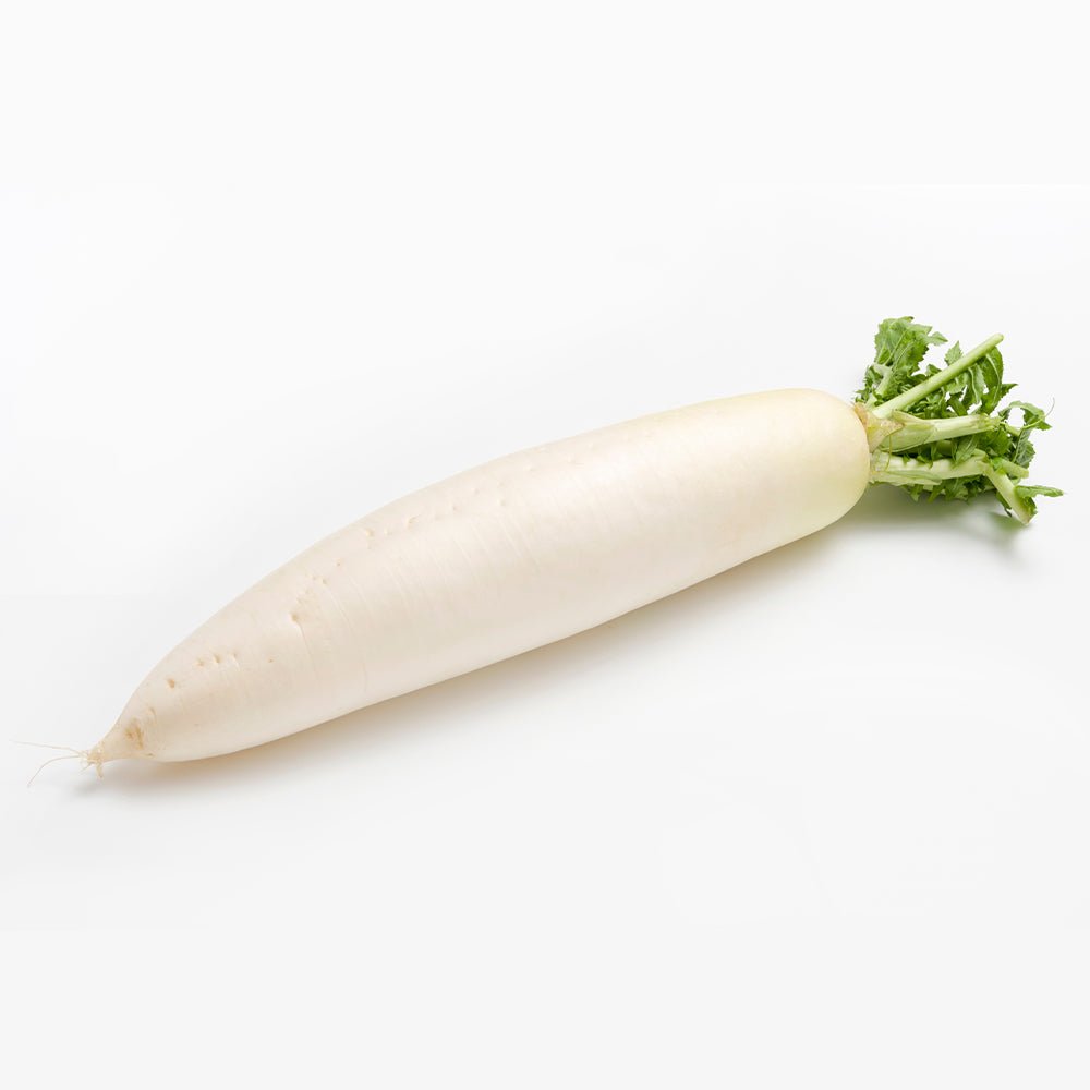Japanese Radish - Tokyo Fresh Direct