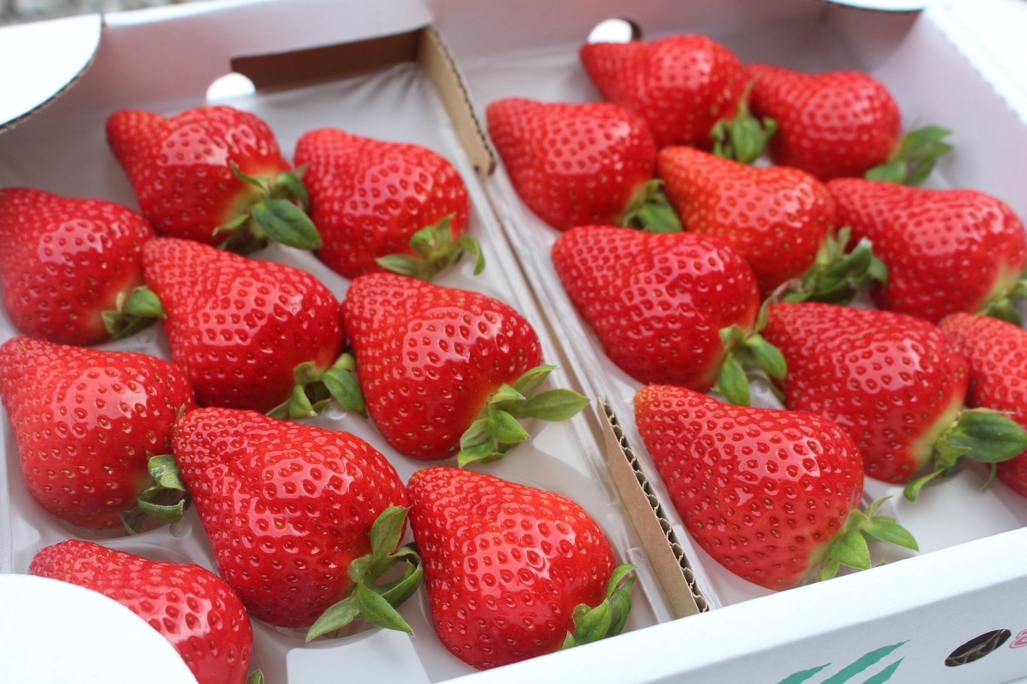 Kochi Premium Strawberry "Okimi" 2-pack Set - Tokyo Fresh Direct