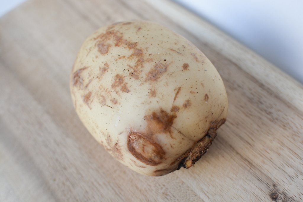 Lotus root - Tokyo Fresh Direct