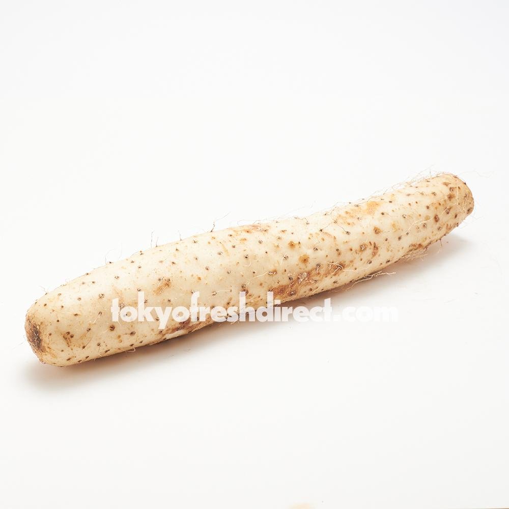 Nettori Nagaimo (Aomori Yam) - Tokyo Fresh Direct