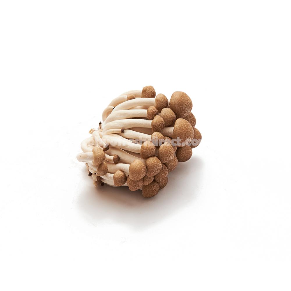 Shimeji mushroom - Tokyo Fresh Direct