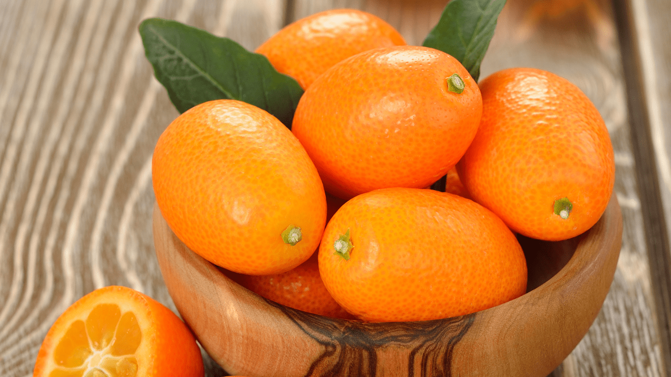 Discover the Sweet and Sour Delight: Shop Fresh Kumquats Online in Singapore - Tokyo Fresh Direct