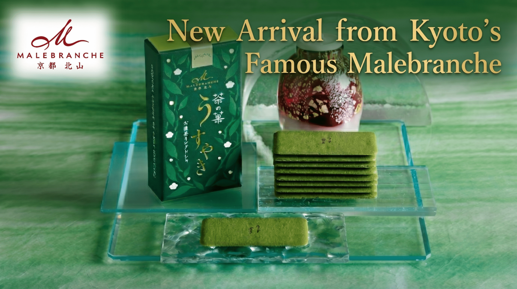 New Arrival: CHA NO KA Okoicha Green Tea Langue de Chat by Kyoto’s Malebranche - TFD (Tokyo Fresh Direct)