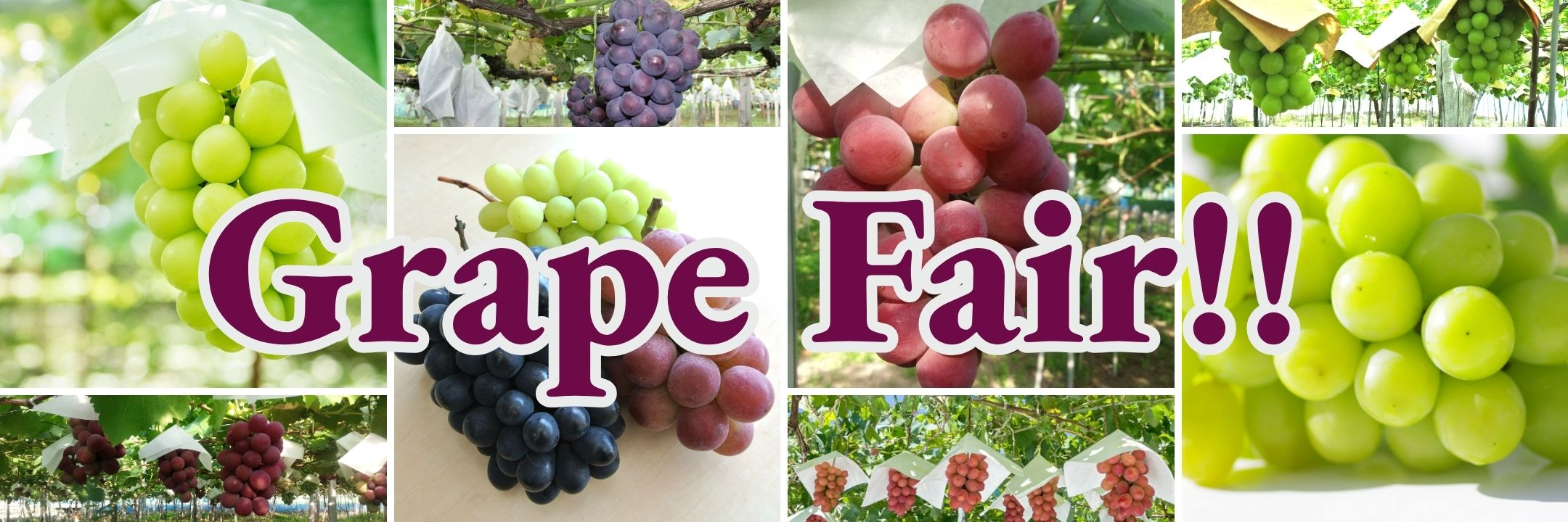Seasonal Japanese Items - Tokyo Fresh Direct