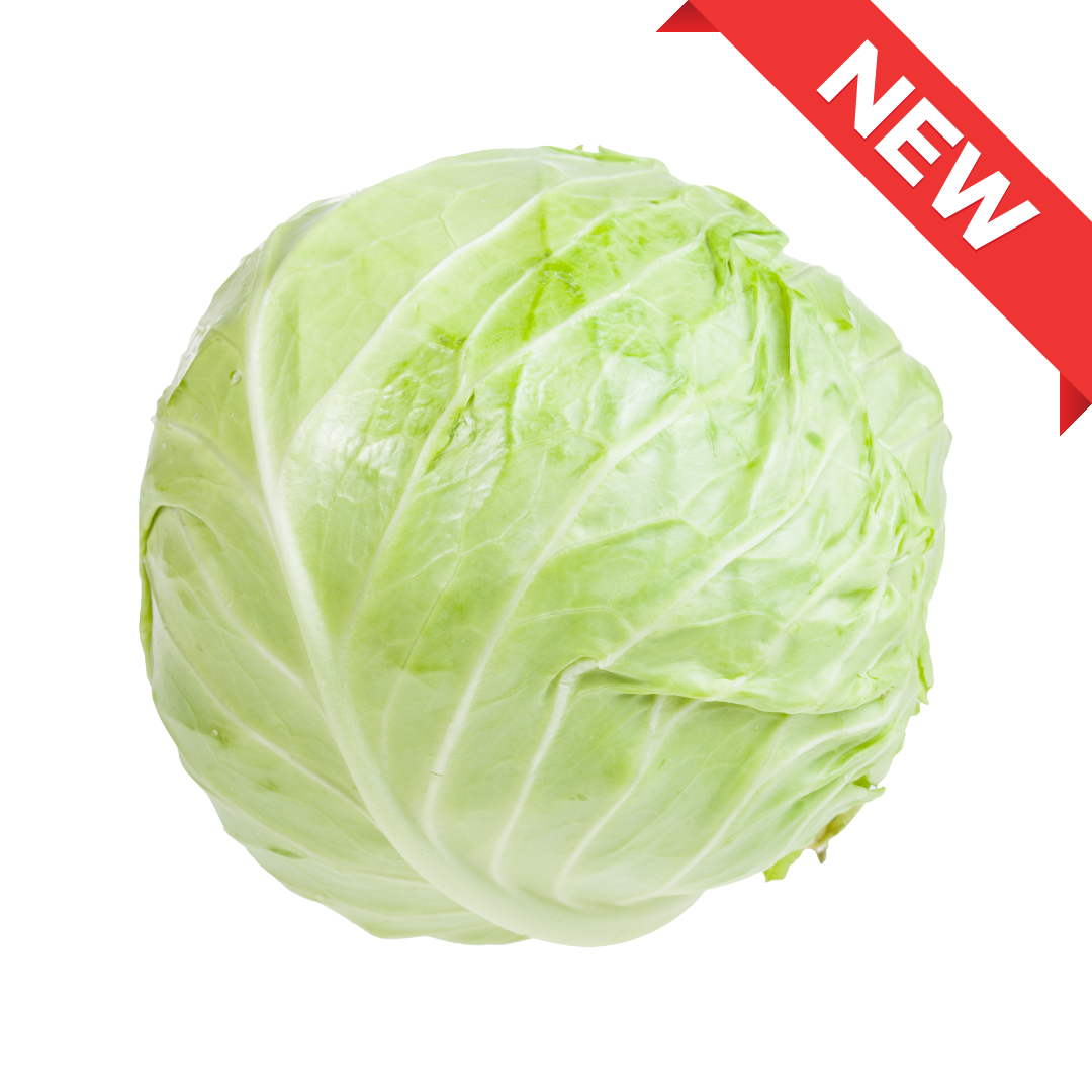 Nagano Highland Sweet Cabbage (approx. 1kg) | Delivery: 12th~13th Sep