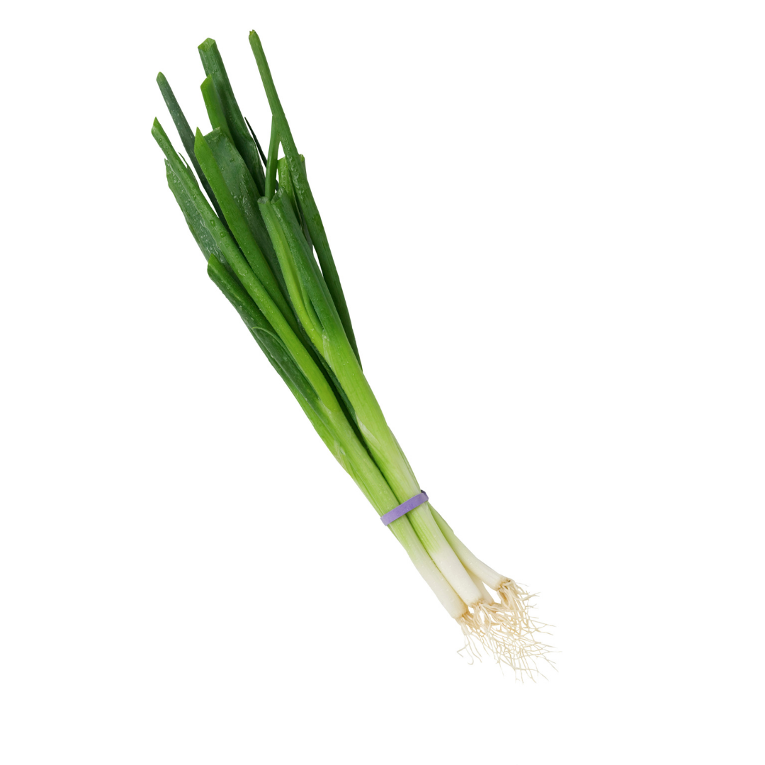Fresh Nagano Leek 1pc (approx. 160g) | Delivery: 12th~13th Sep
