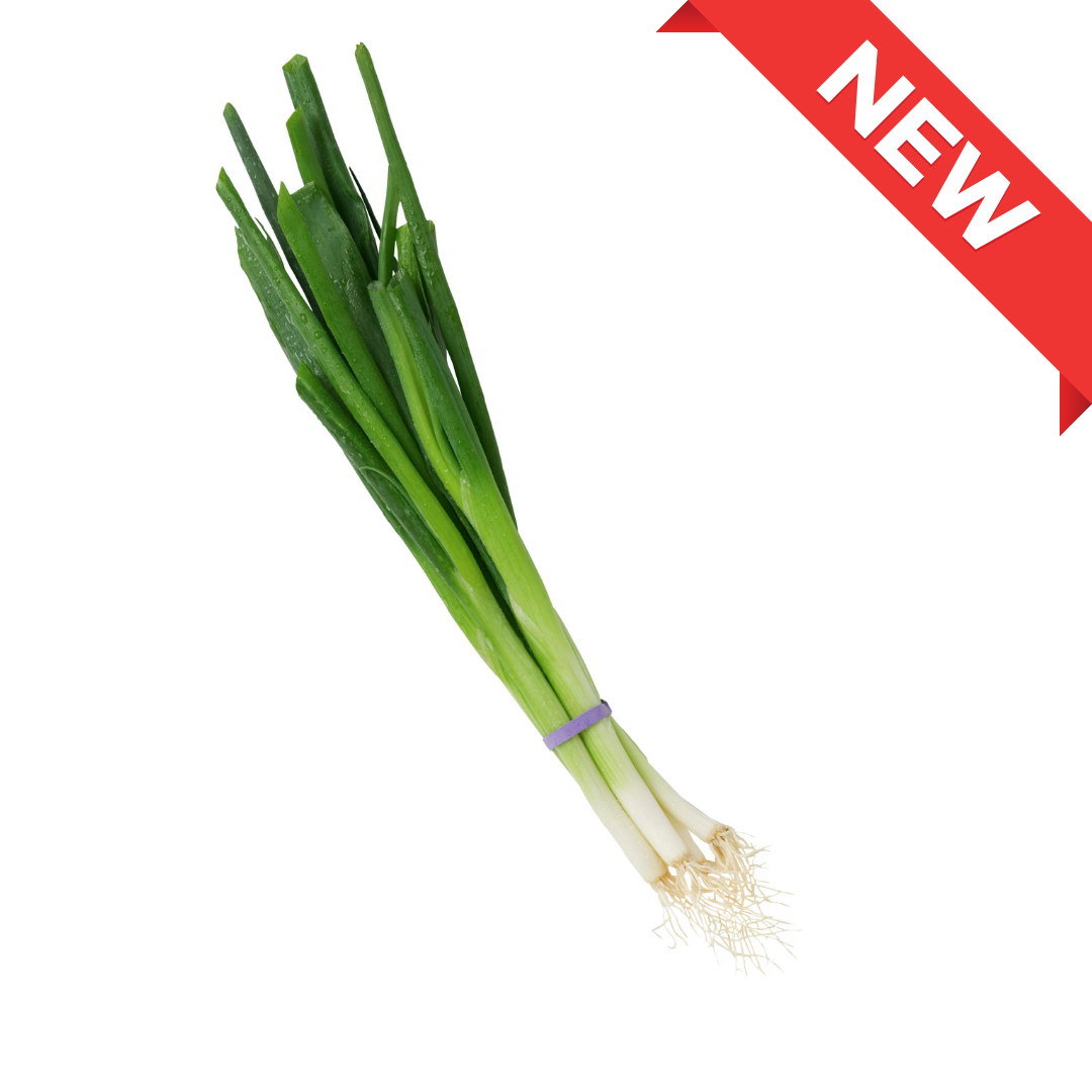 Fresh Nagano Leek 1pc (approx. 160g) | Delivery: 12th~13th Sep