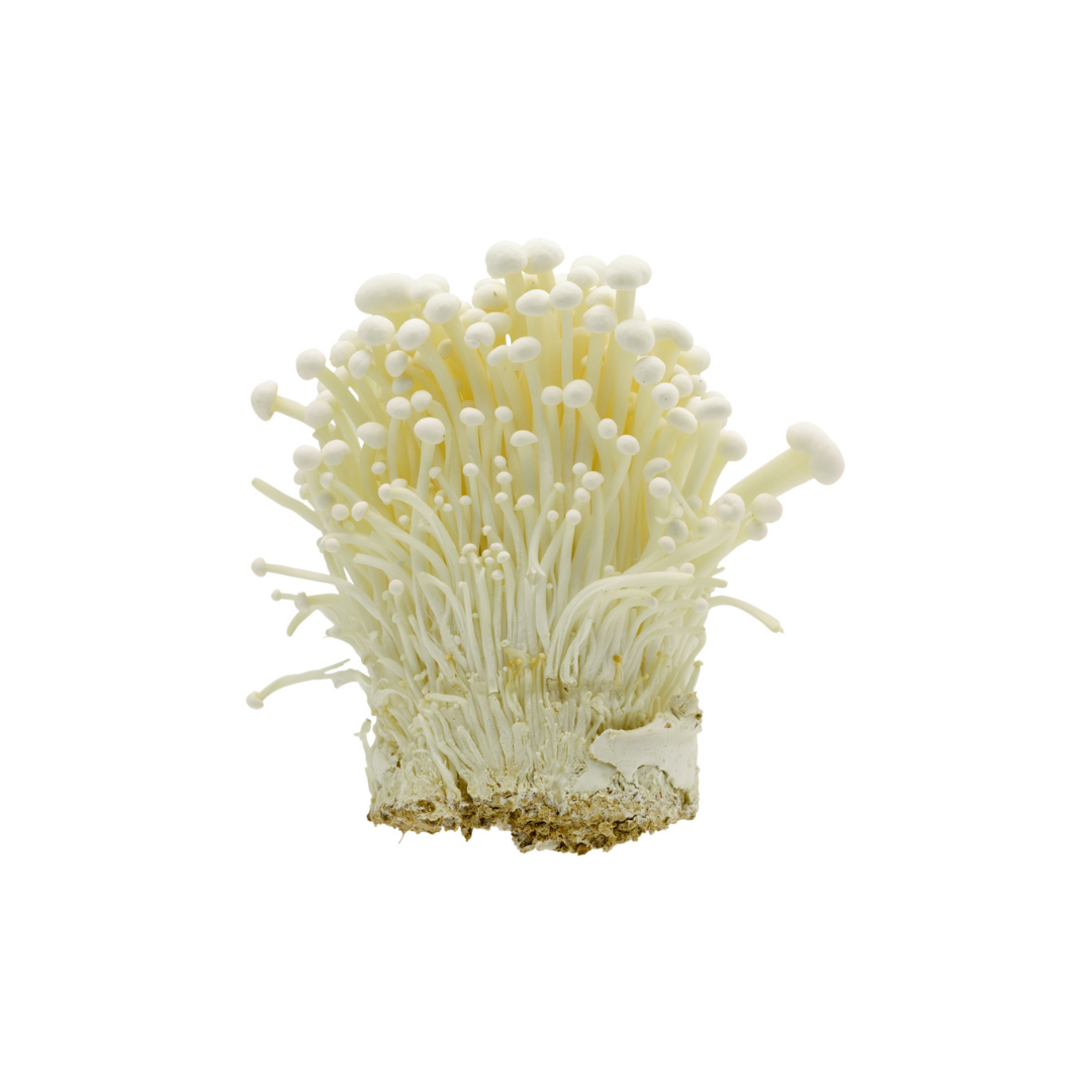 Nagano Enoki Mushroom 1pack (approx. 200g) | Delivery: 12th~13th Sep
