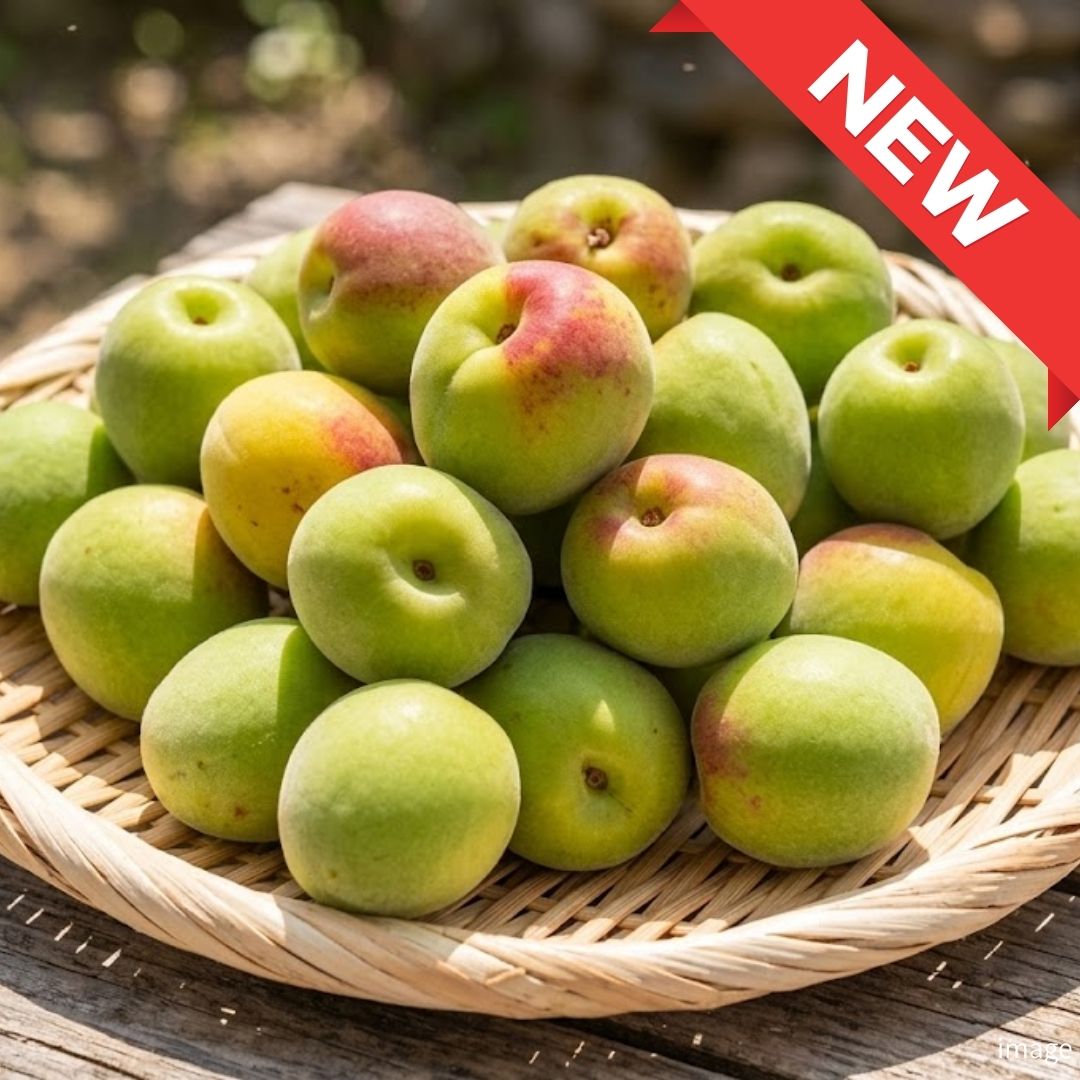 Wakayama Premium Early Harvest Nanko Ume – Luxurious Japanese Plums | Ultra-Soft Flesh & Rich Aroma | Seasonal Artisan Fruit | Approx. 1kg Pack | Delivery: 19th June–4th July