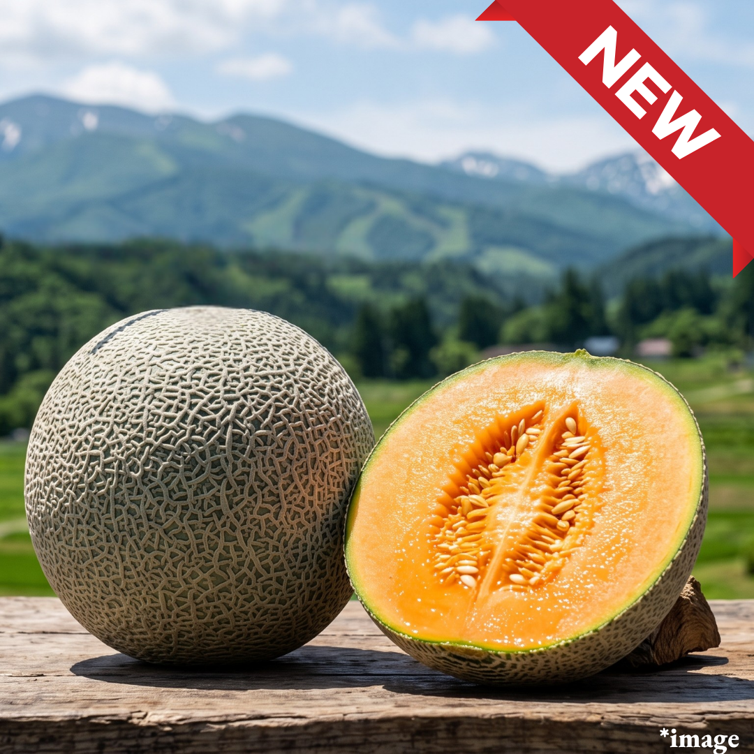 "Tsuru Hime Red (Giftbox/L-size/High Grade)", A sand-dune-grown red melon with firm flesh and clean, concentrated sweetness., Approx1.2kg+ | Delivery: 24th~25th Jul