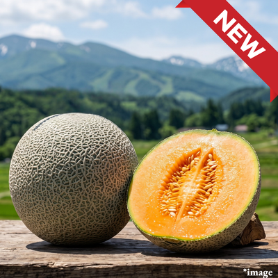 "Tsuru Hime Red (Giftbox/L-size/High Grade)", A sand-dune-grown red melon with firm flesh and clean, concentrated sweetness., Approx1.2kg+ | Delivery: 24th~25th Jul