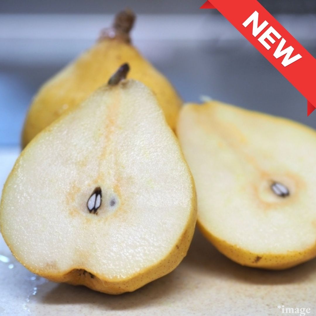 " Le Recce (Top Grade)", The Queen of Winter Fruits, proudly from Niigata | Delivery: 12th-13th Dec