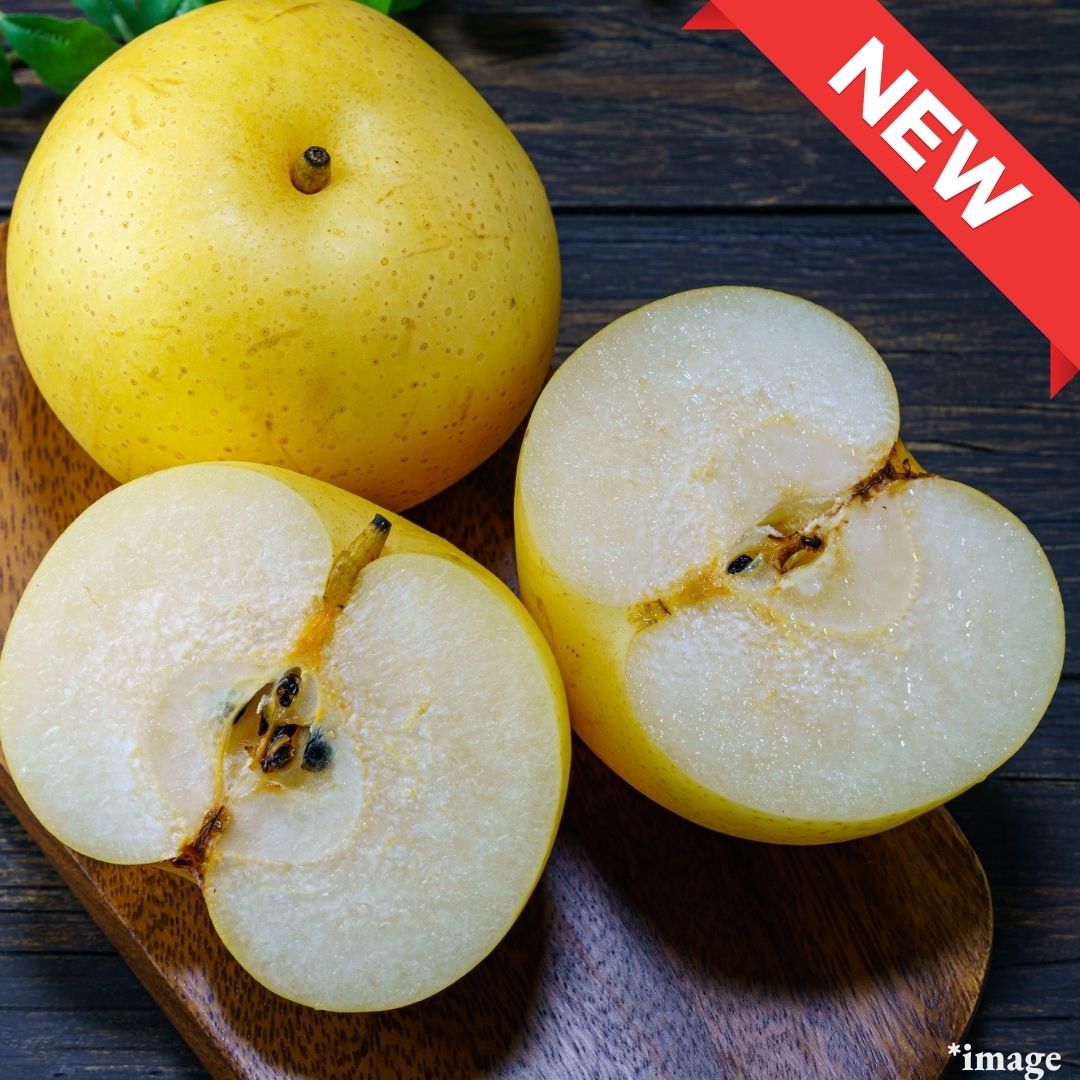"Nansui (High Grade)", Japan’s Top-Class Sweet Pear, (2pcs/600g) | Delivery: 17th-18th Oct