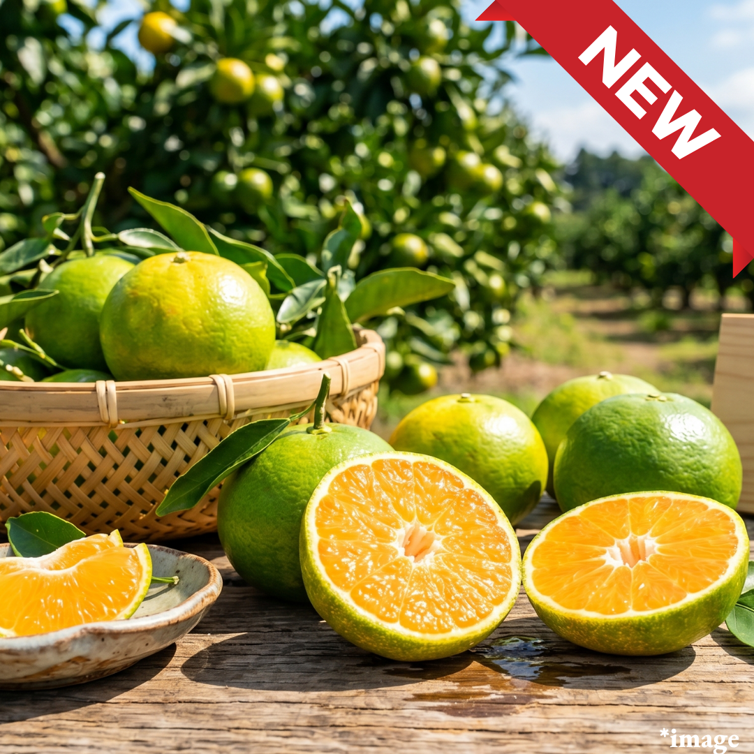 "Greenhouse Mikan(S-size/High Grade)", A High-Brix Sweet-Tart Brand Mikan with a Firefly Glow | Delivery: 3rd~4th Jul