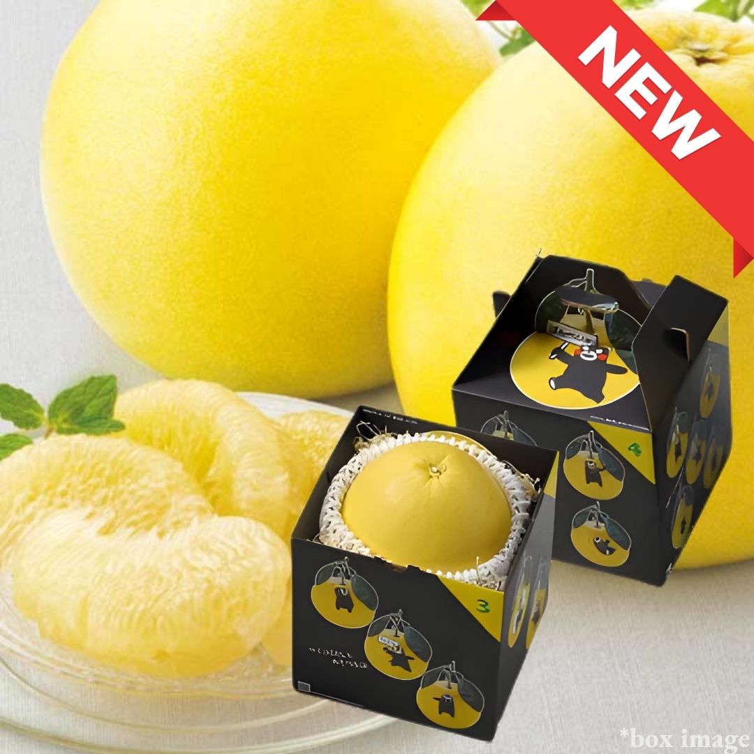 The world's largest citrus from Kumamoto "Banpeiyu (Gift Box)"  | Delivery: 12th-13th Dec
