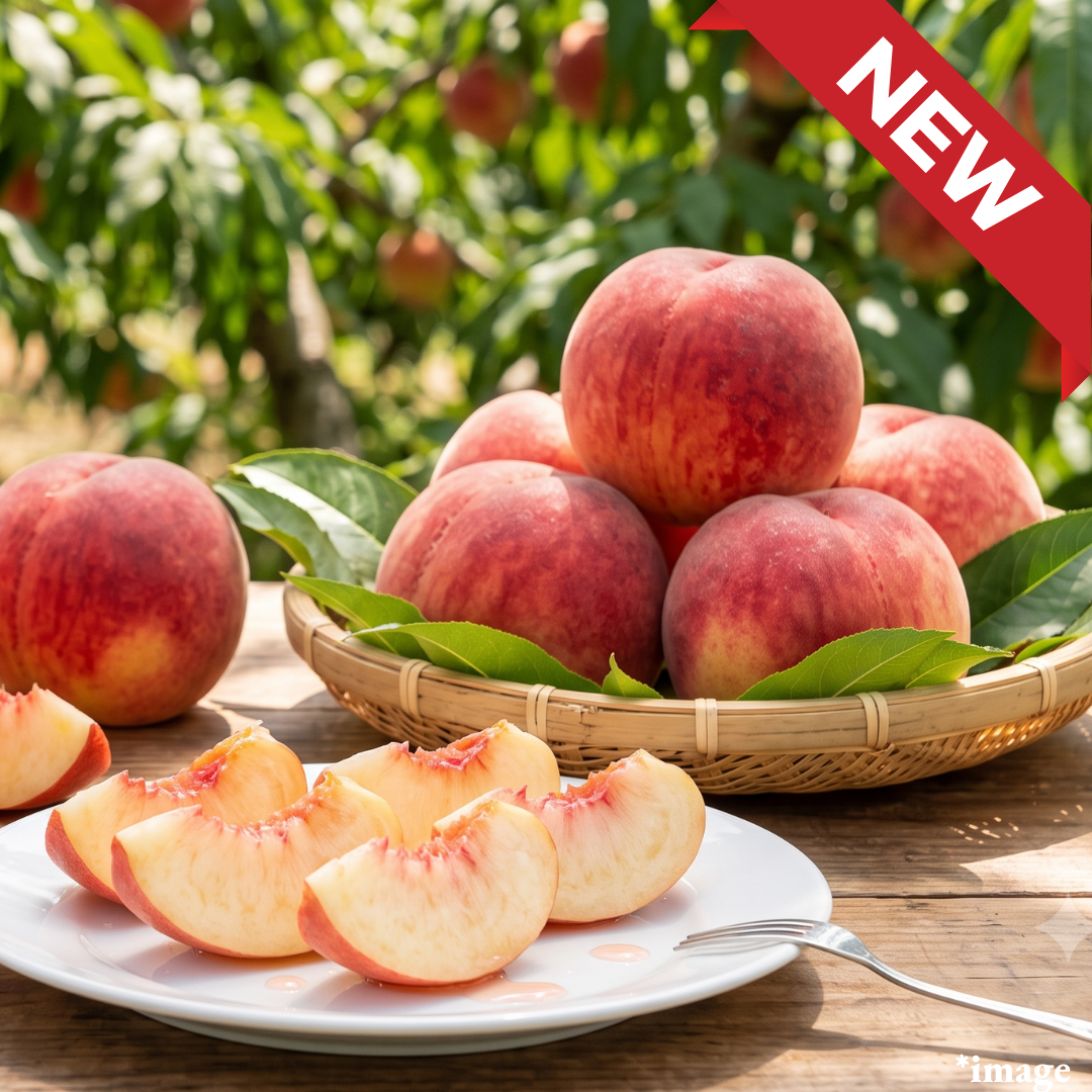 "Sachi Akane (2L-size/High Grade)", Slowly Ripened for Nearly Five Months, Creating a Sweet Peach with Firm Flesh and Concentrated Sweetness, Approx.600g+(2pcs) | Delivery: 7th~8th Aug