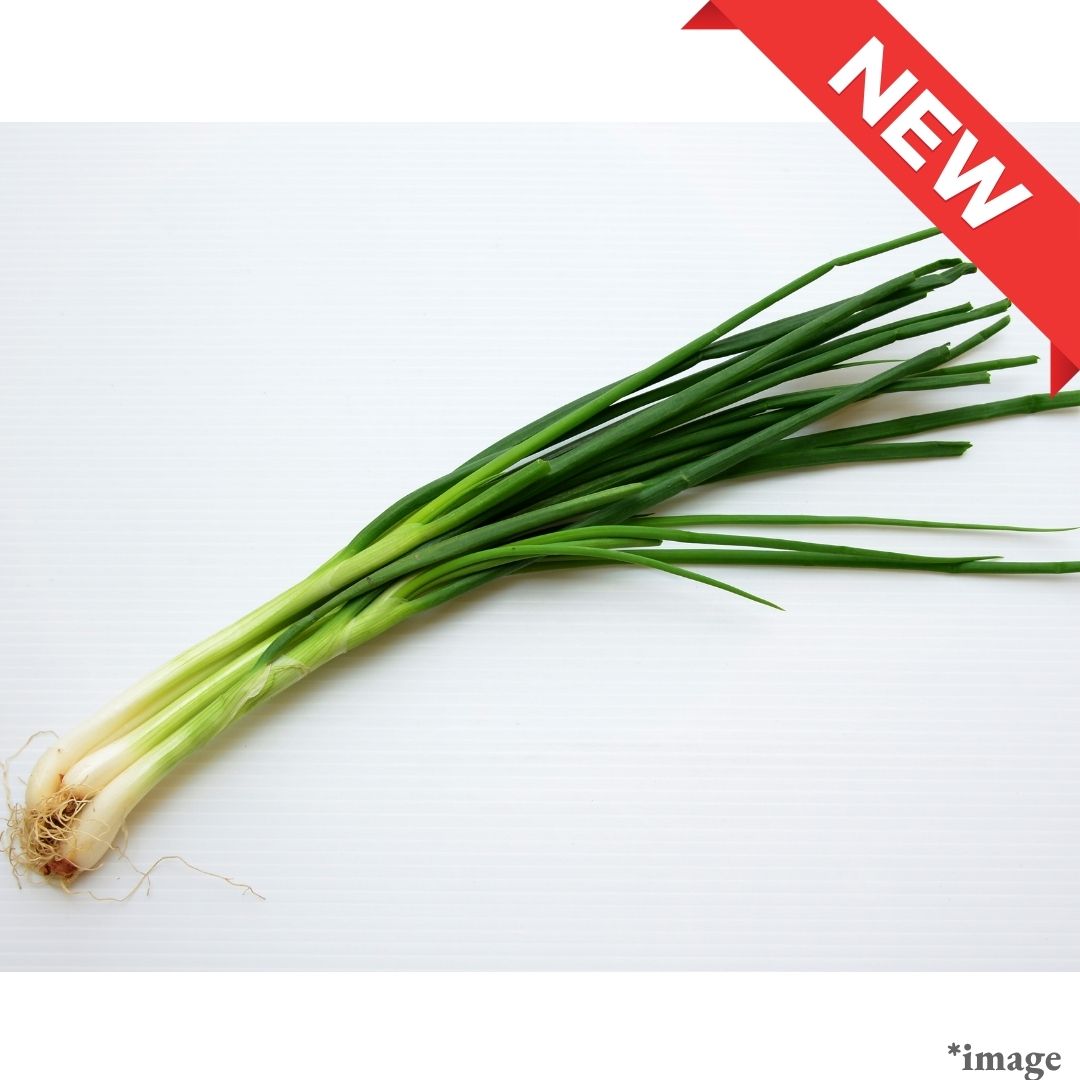 "Fukuoka Spring Onion (Scallion)", (approx.100g) | Delivery: 17th-18th Oct